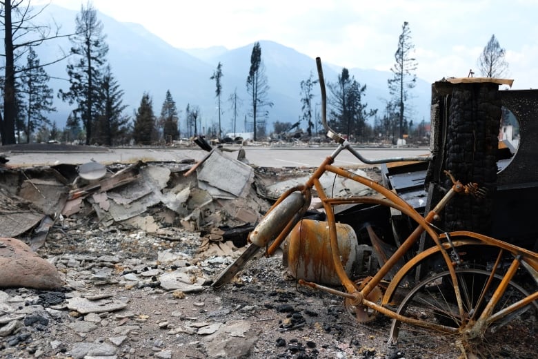 A burned-out bicycle is seen among charred debris in a town.