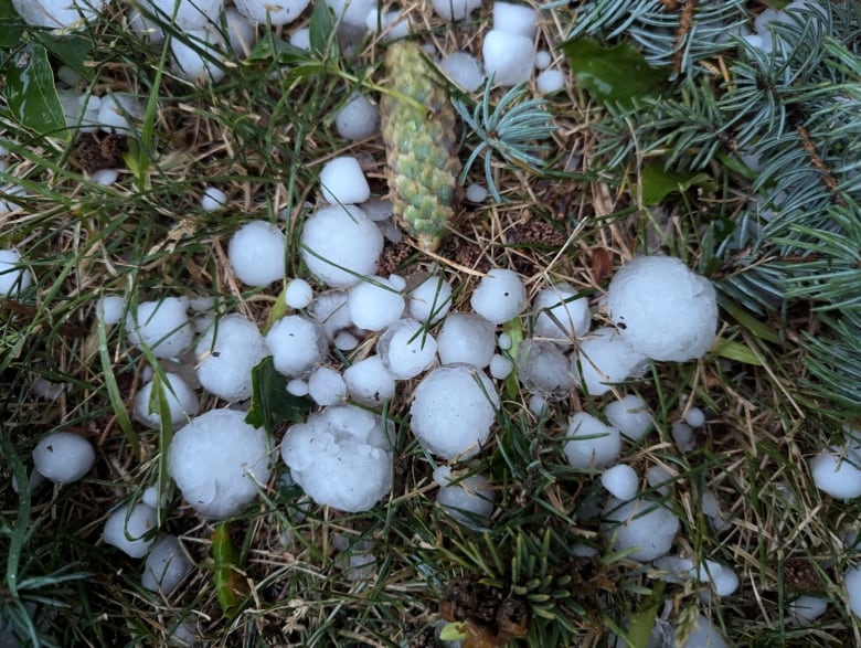 some large pieces of hail on the grass.