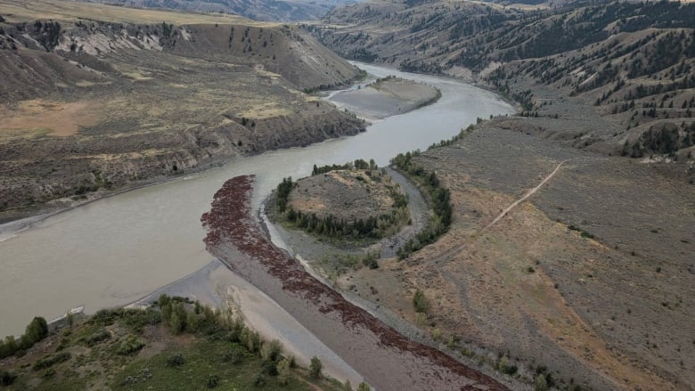 An aerial view of the confluence of two rivers: the smaller one is full of wood debris.