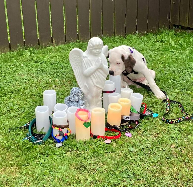 A piece of grass with a small angel statue surrounded by candles and a few dog collars, with a small puppy next to it.