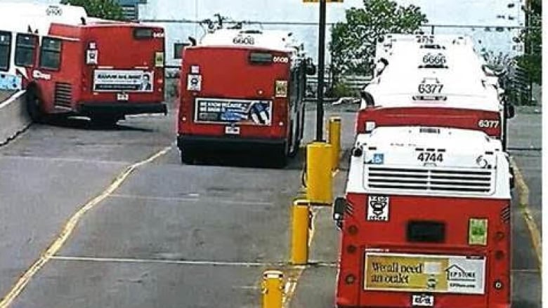 Several public buses from behind, with one seen partially on top of a concrete barrier. 