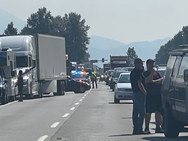 Vehicles stopped on a highway, due to a collision. There are police lights flashing behind a car that is sideways on the road and a truck that is partially pulled over. People are outside of their parked cars.