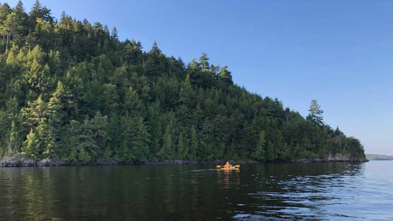 A person in a yellow kayak in the distance on calm water with trees in the background.