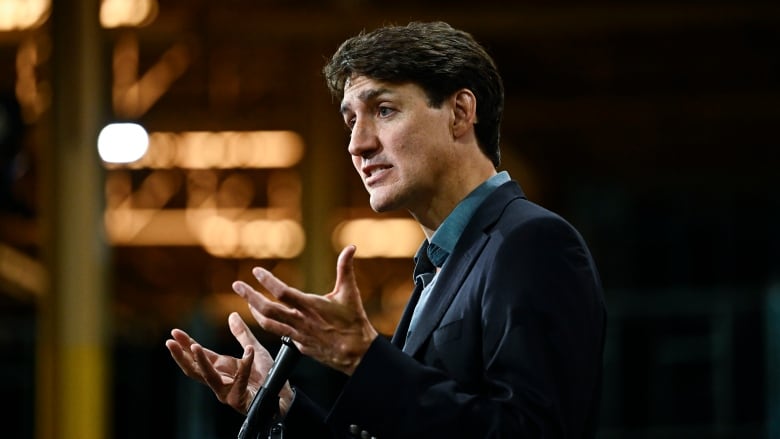 Prime Minister Justin Trudeau takes questions after an announcement at the Goodyear plant in Napanee, Ont., on Monday, Aug. 12, 2024.