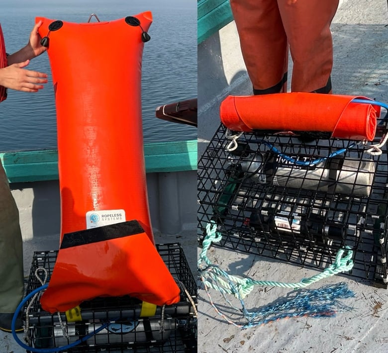 A ropeless fishing system with an inflatable balloon attached to an air tank.