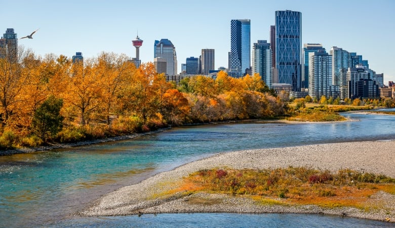 trees and buildings. a river flowing.