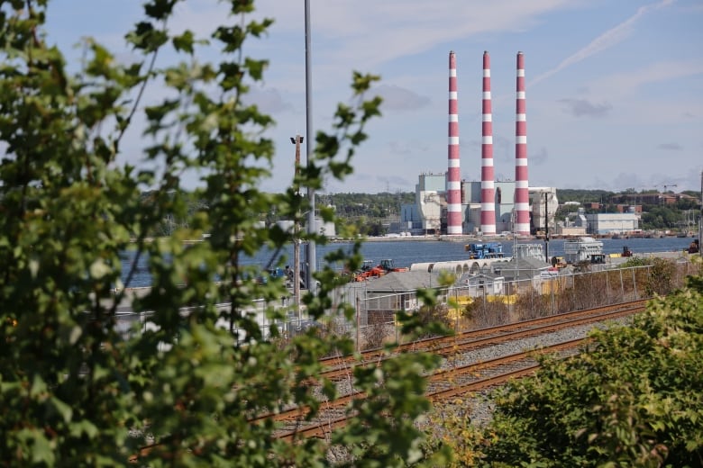 Greenery in the foreground frames three smokestacks at a power generating station.