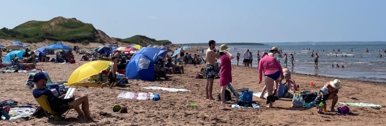 Brackley Beach in summer on a busy day, with people in the water, sitting on beach chairs and under beach umbrellas.