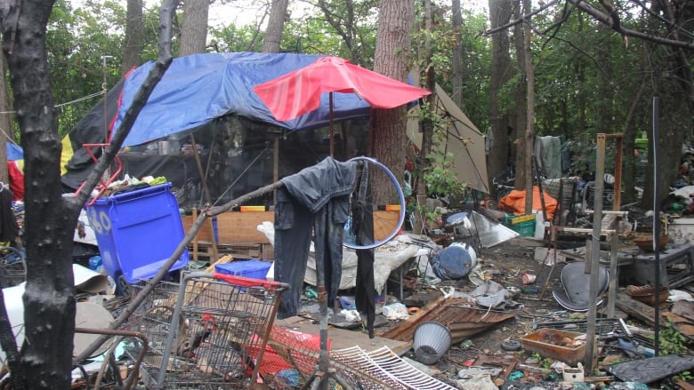 City staff say as of the end of July, 2024, Windsor has around 11 known encampments.