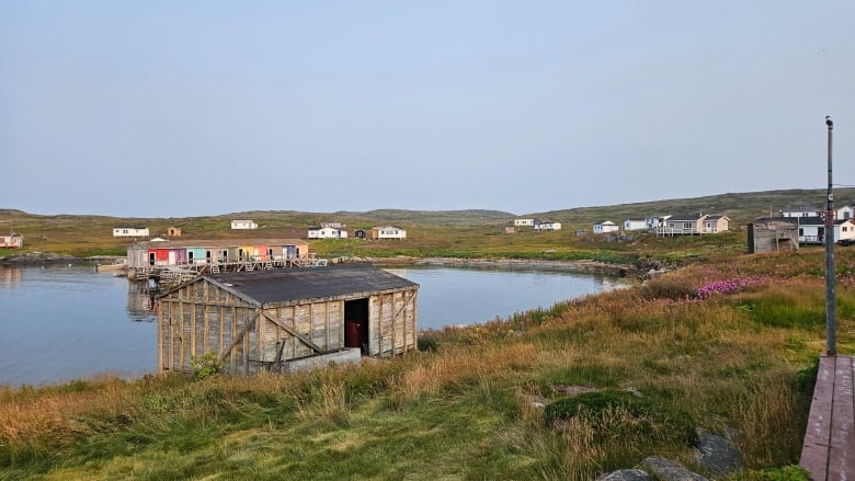 Houses dotting grassy hills near the water.