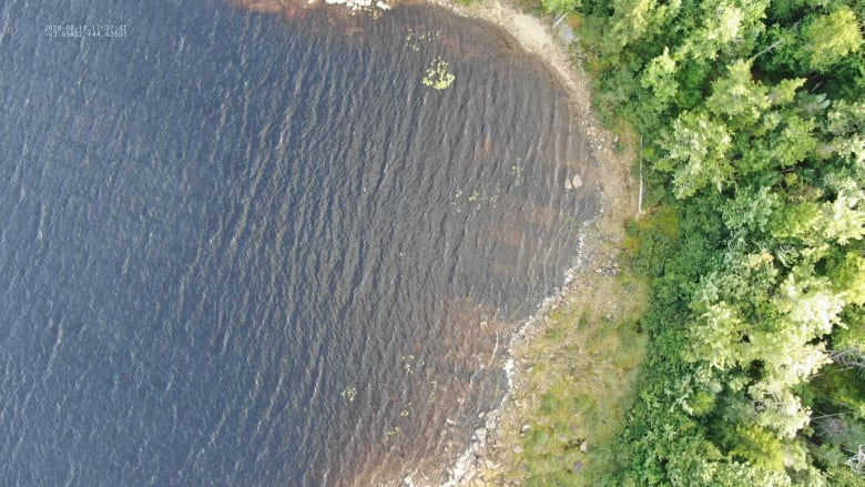 a bird's eye view of a lake and trees