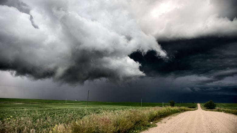 Dark rain clouds approach over top of an open field.