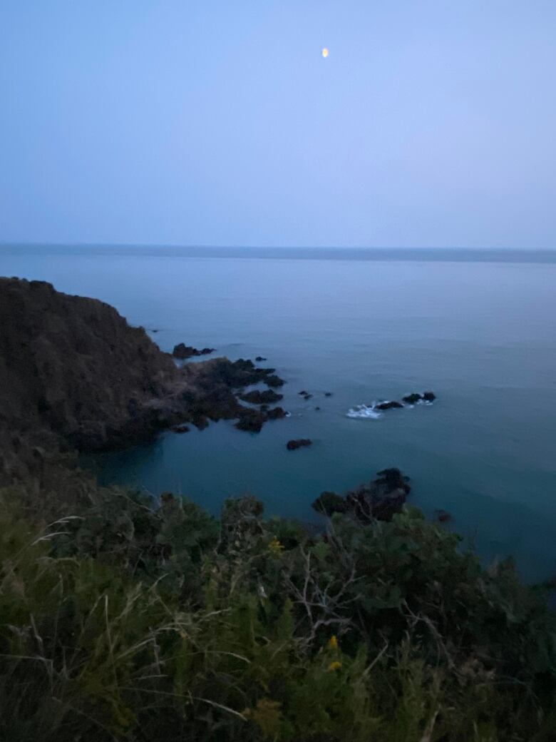 A moon glows over misty blue water and grassy cliffs. 