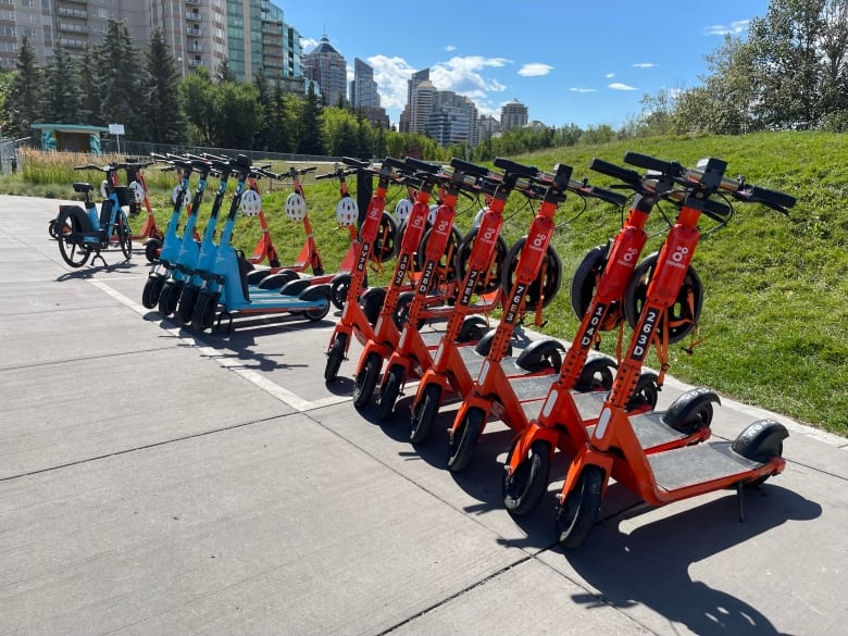 A row of orange e-scooters with white helmets sits beside a row of blue e-scooters. They're on a sidewalk lined with grass. Highrise condos can be seen in the background.