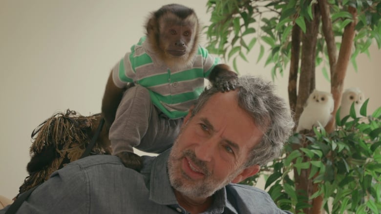 A man balances a small monkey on his shoulder.