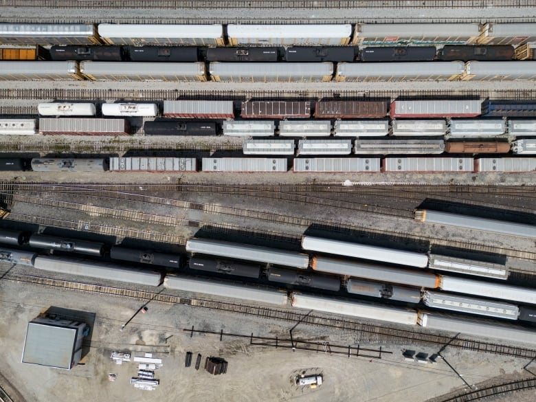 trains in a railyard