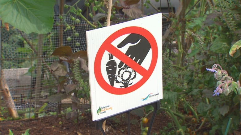 A sign at the community garden warns against theft.