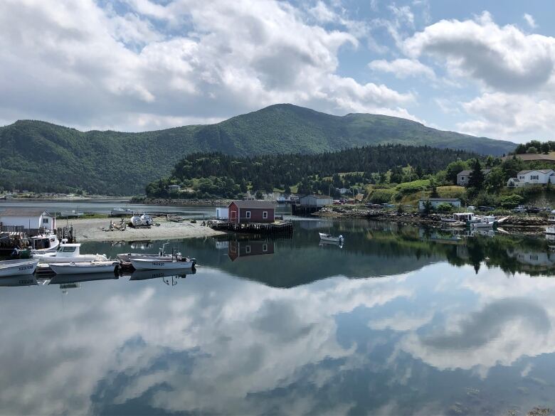 A small harbour on a warm day.