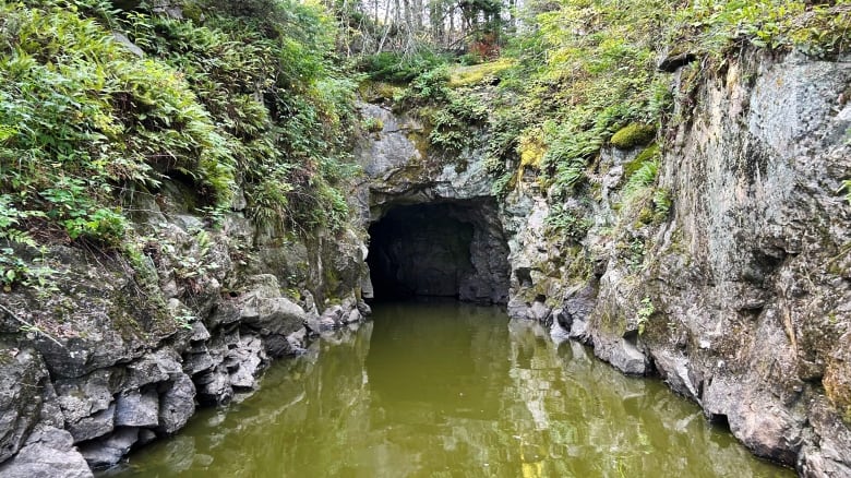 A tunnel opening.