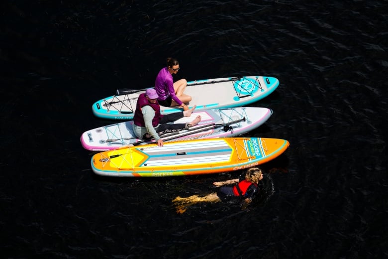 Three paddleboards are on a river. People are on two of the boards and a kid is swimming next to the third.