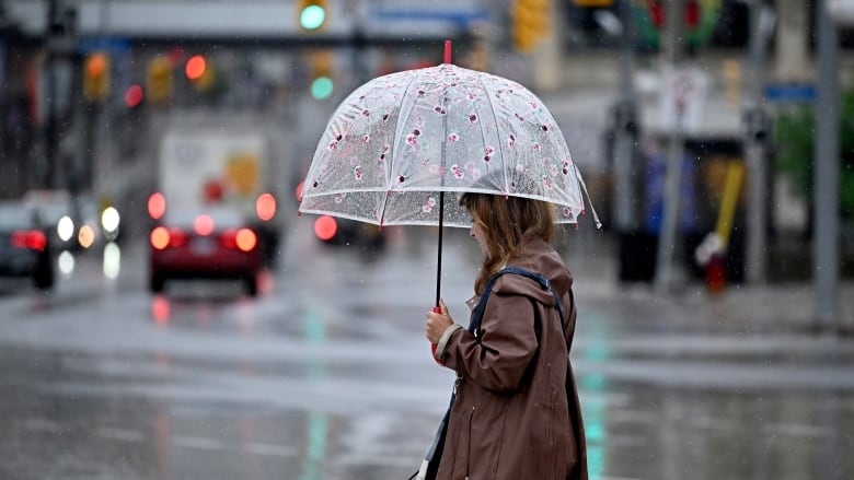 Someone holds a clear umbrella as they cross a city street in the rain.