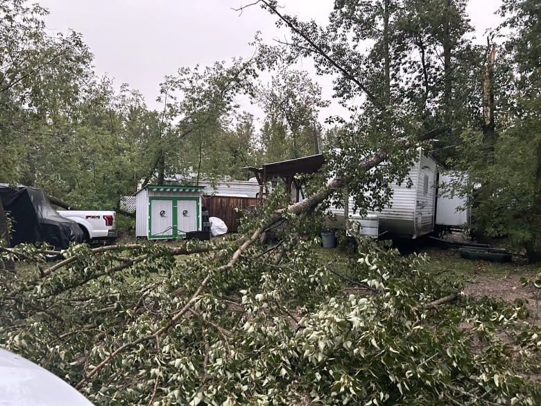 A tree falls on the ground besides a camper