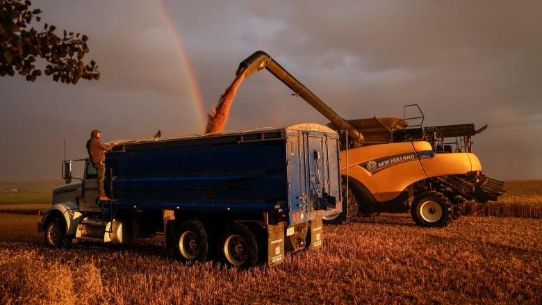 A man stands atop a combine. There is a rainbow in the background.