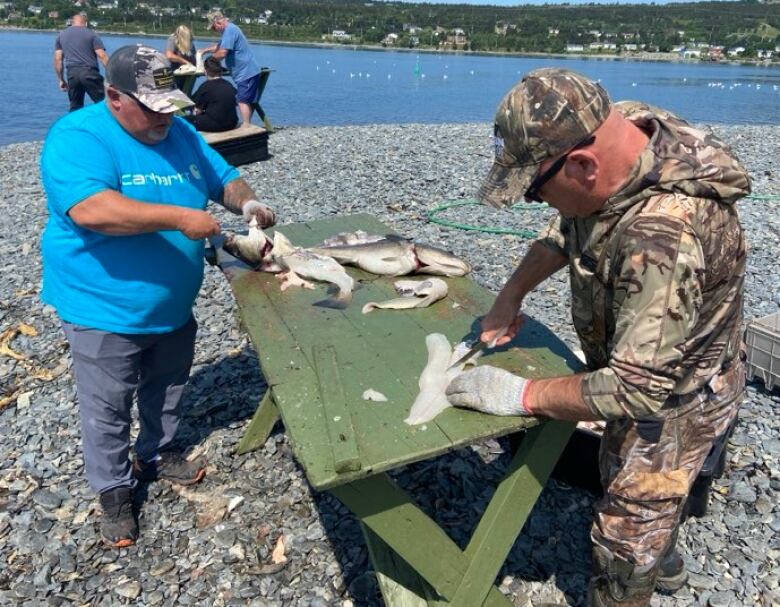 Two men stand at a green bench, slicing cod.