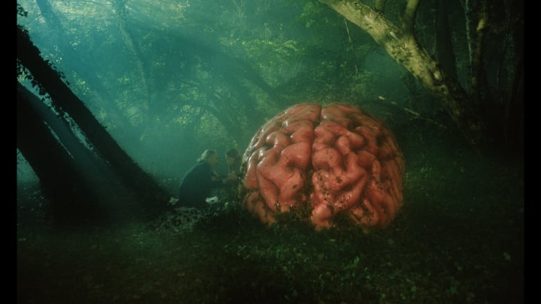 Two people in the woods with a giant brain in the foreground.