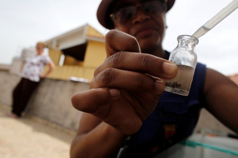 A national health official collects mosquito larvae during a house inspection in Sao Paulo, Brazil, in 2015.