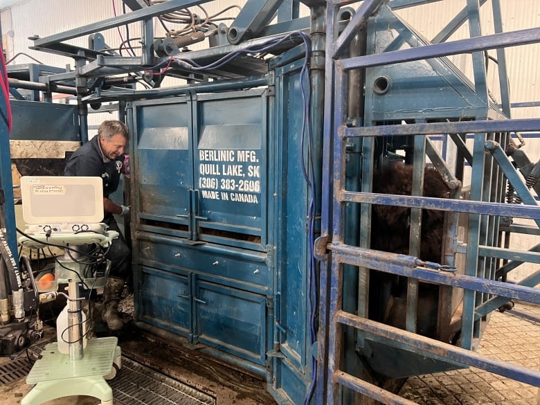 A picture at a bison facility. 