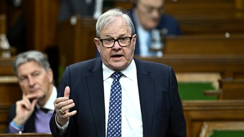 A man with grey hair and a suit stands in the House of Commons.