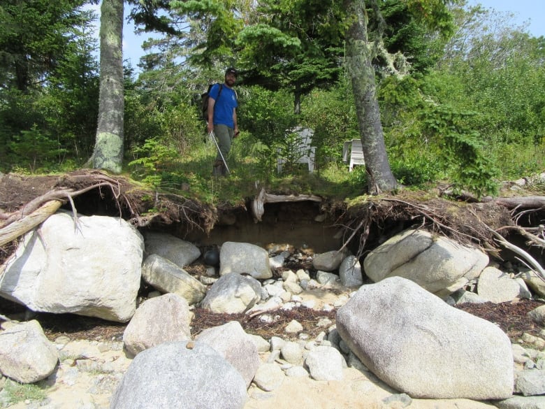 An archaeologist stands on an eroded shoreline. Boulders sit below trees with exposed roots.