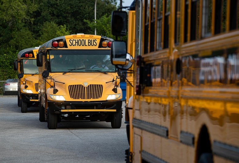 Three chool buses drive down a road on a sunny day. There are green trees in the background.