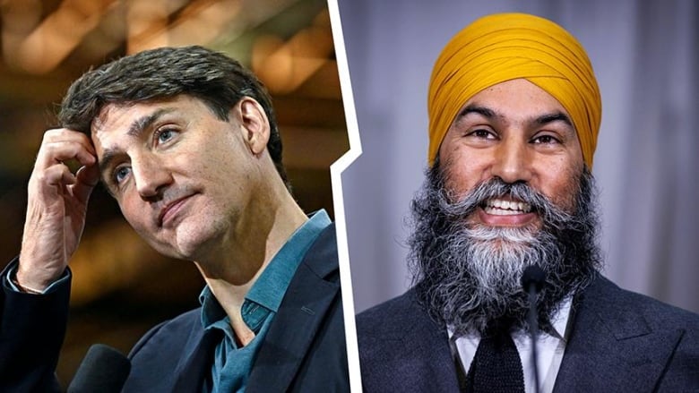 On the left, Justin Trudeau scratches his head. On the right, a smiling Jagmeet Singh. A jagged line separates the two.