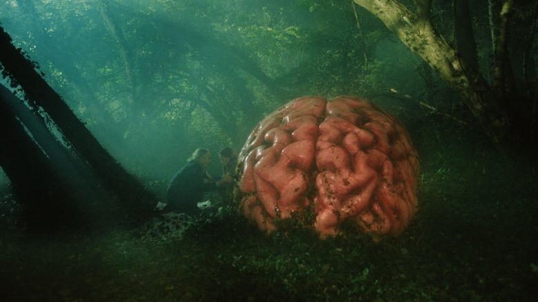 A still from a movie shows two people in a forest crouching next to a giant brain.