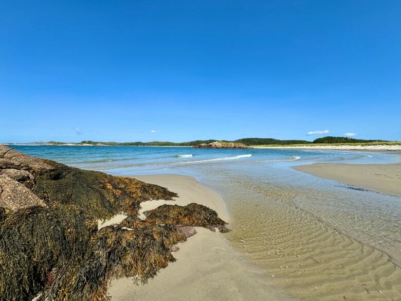 A sandy beach.