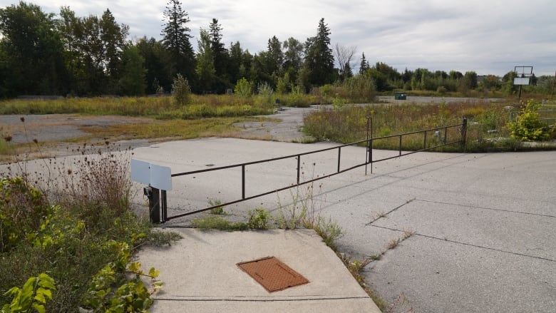 Hazeldean Road site