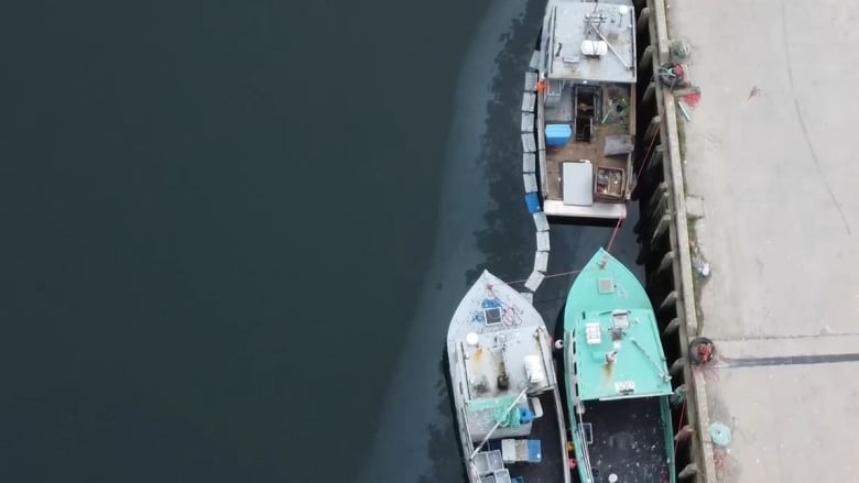 Boats in the water next to a wharf.