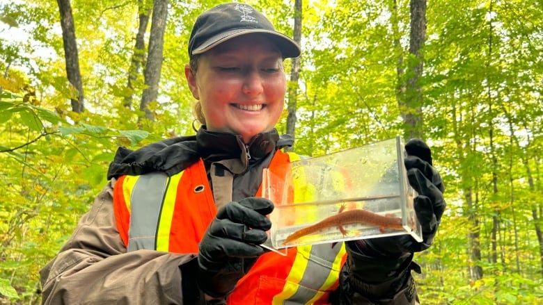 woman holding water tank with salamander in it