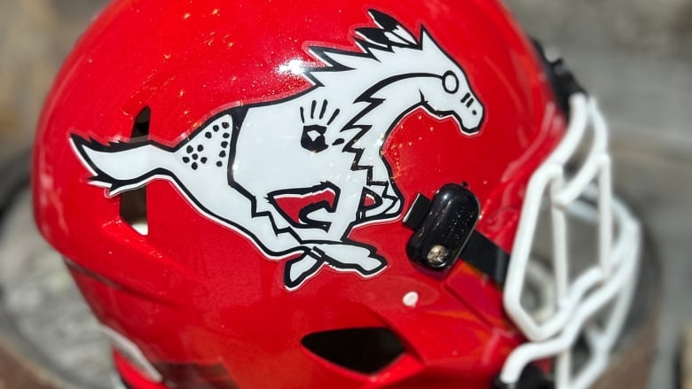 A toy football helmet featuring an Indigenous horse logo.