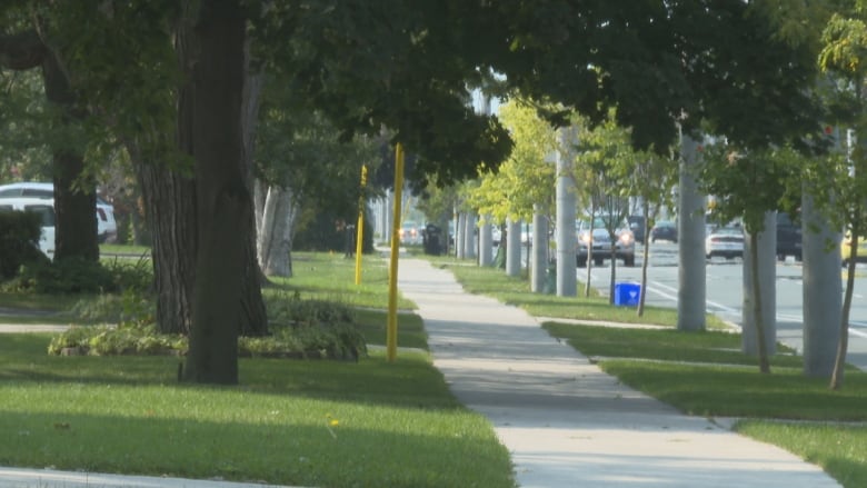 A suburban neighbourhood.