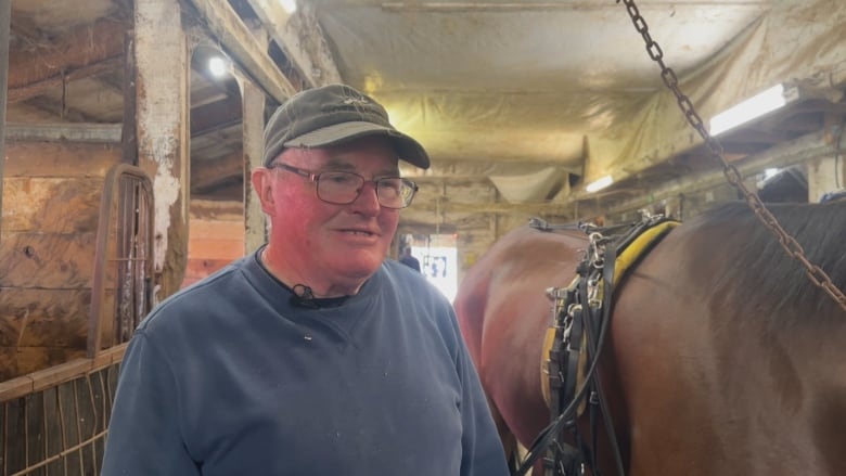 A man with a baseball hat and a blue sweater stands next to a horse