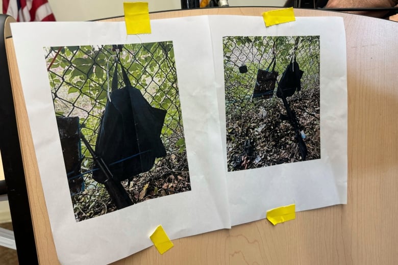 Photos depicting bags are seen taped up to a board.