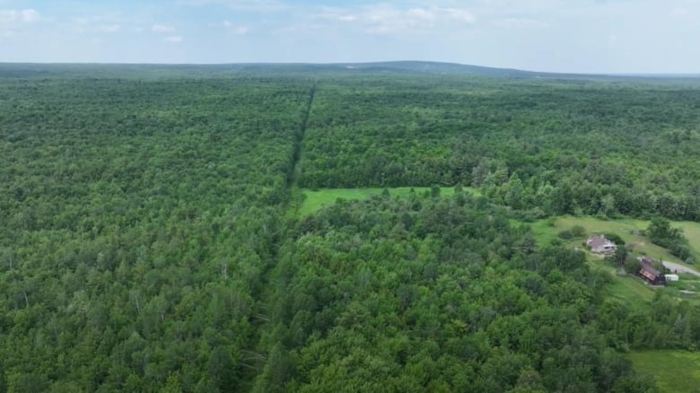 Most of the clandestine crossings from the Swanton sector into the U.S. are made through these woods.