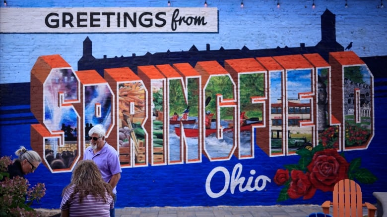 A mural is displayed in an alley downtown on September 16, 2024 in Springfield, Ohio.