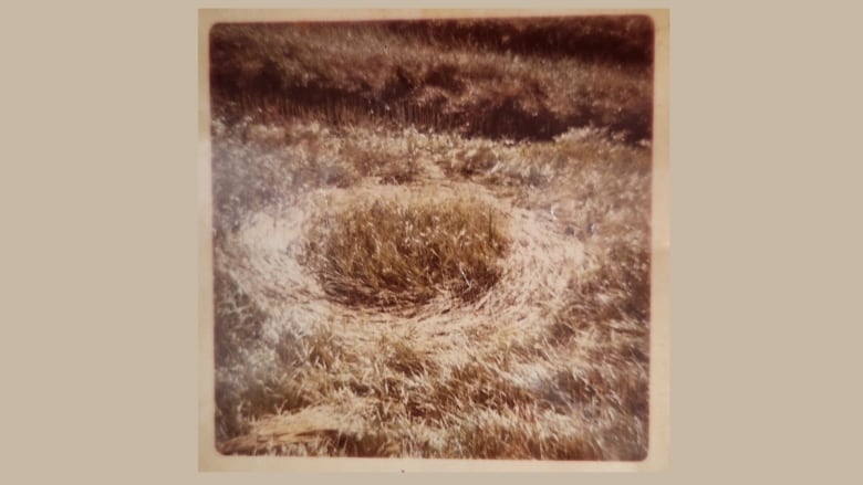 Photo of a field with a circle. 