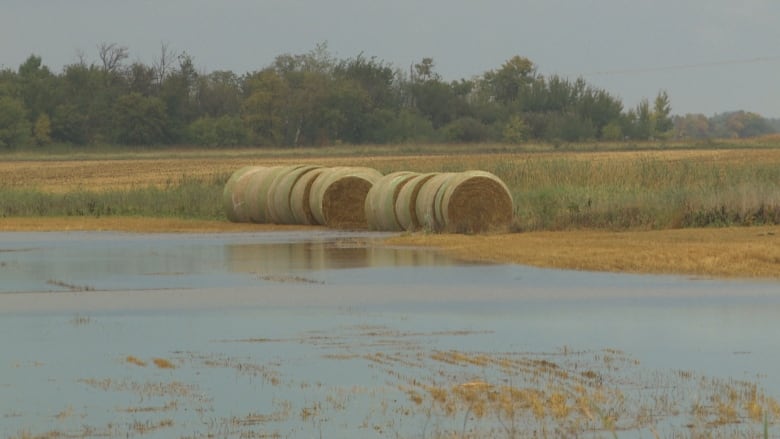 A field covered in water after a flooding.