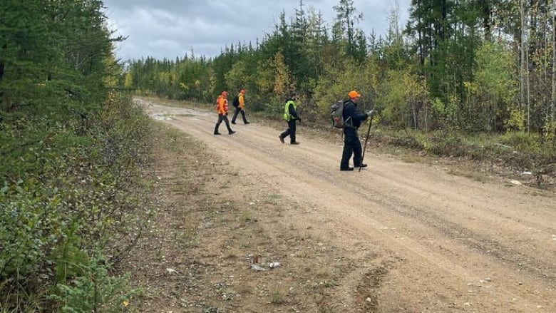 A group of searchers. 