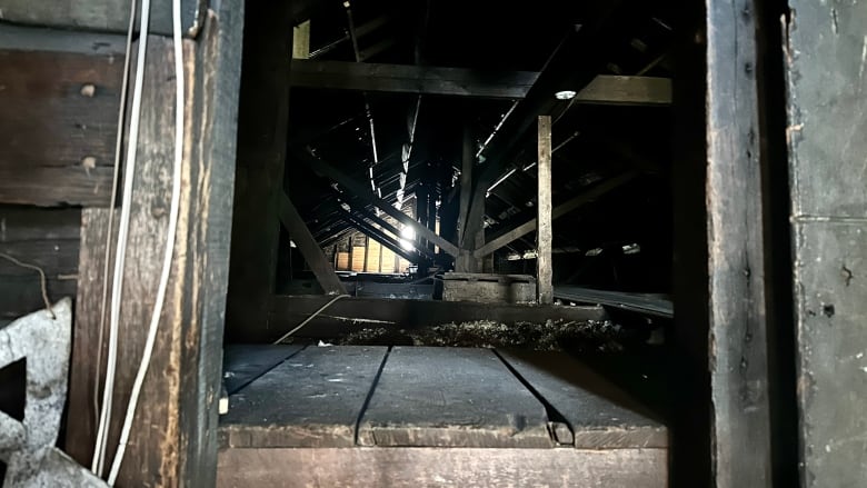 Old wood trusses are seen in a dark attic.